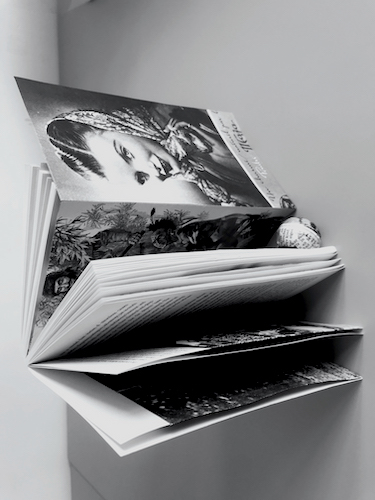 Discourse Game, Tatjana Macic